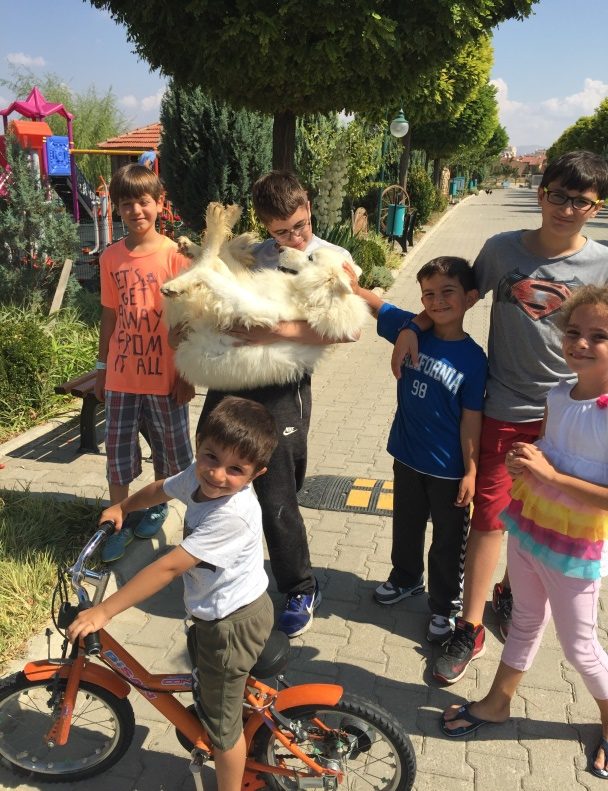 Torunlarımın köpek sevgisi