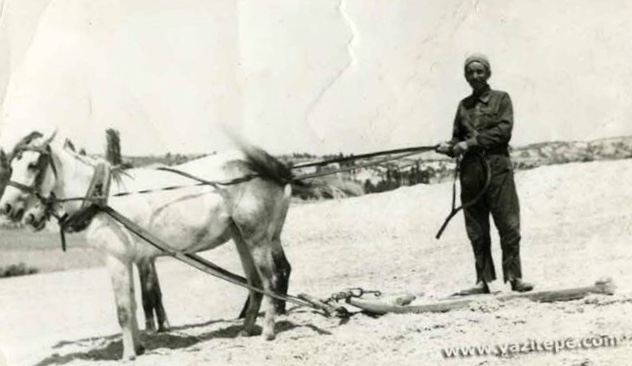 Atlarla düven süren köylü