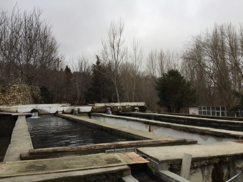 Dedemin Değirmenin yerine yapılan - Balık Çiftliği