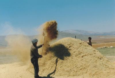 Harman Savuran köylü